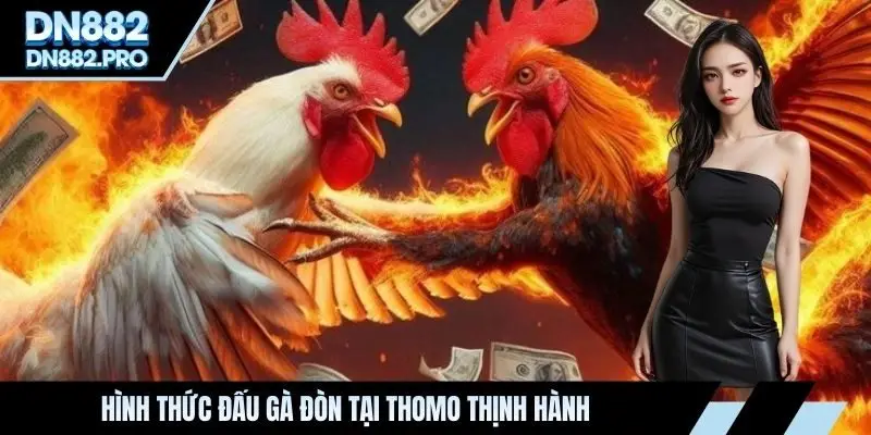Hình thức đấu gà đòn tại Thomo thịnh hành 